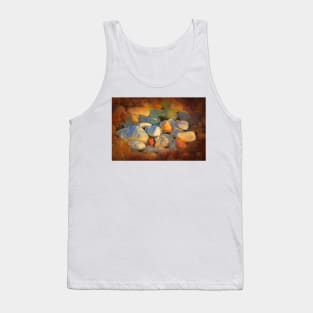 stones....by the sea Tank Top